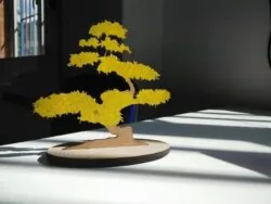 Bonsai Tree