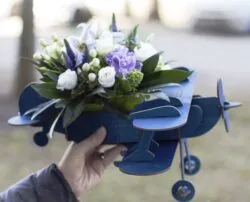 Flower Pot In Airplane Shape