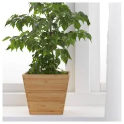 Plant Pot Flower Holder