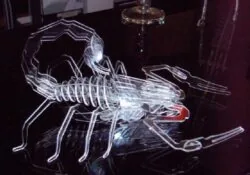 Scorpion 3D puzzle