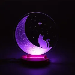 The Cat And The Moon 3D Illusion Night Light