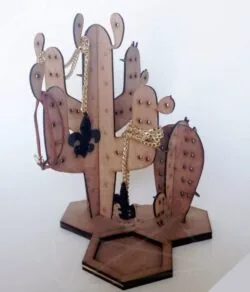 Cactus jewelry shelf