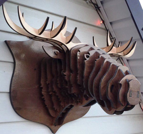 Moose head