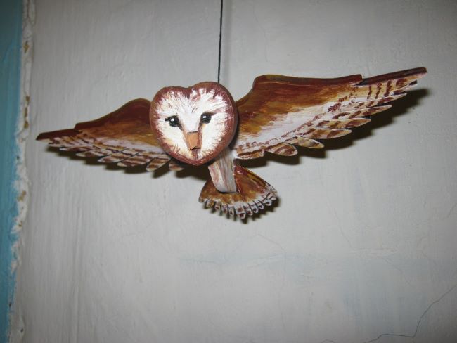 Owl