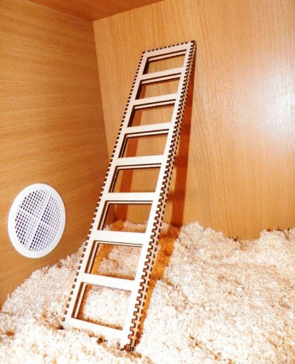 Ladder