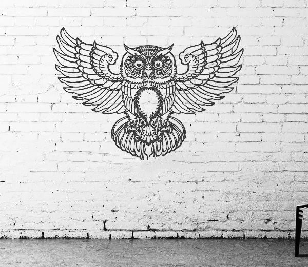 Murals of owls