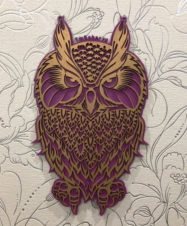 Owl