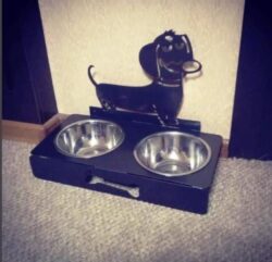 Dog food bowl