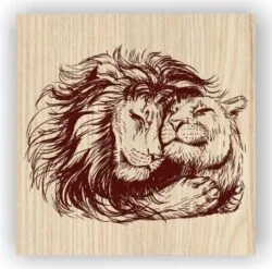 Lion couple