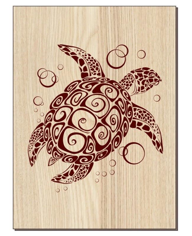 Sea turtle