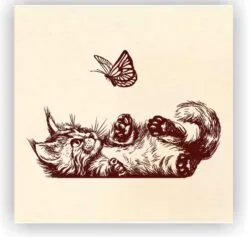 Cats and butterfly