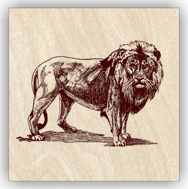 Lion