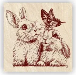 Rabbits and butterflies