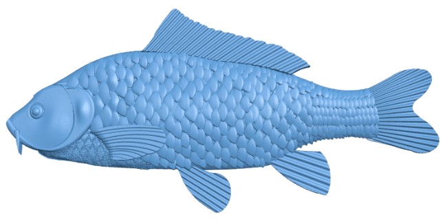 Carp – fish