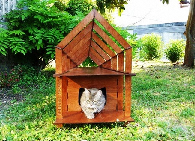 Cat house