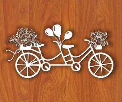 Double bike