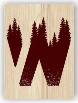 Letter W art