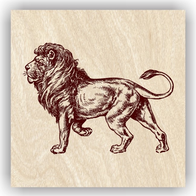 Lion