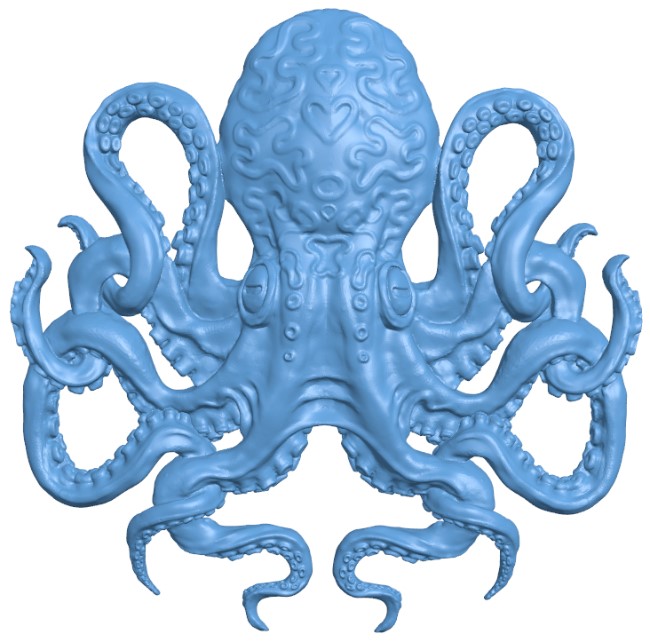 Octopus