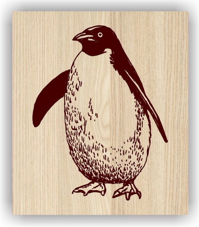 Penguin