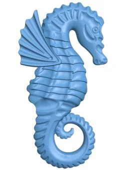 Seahorses