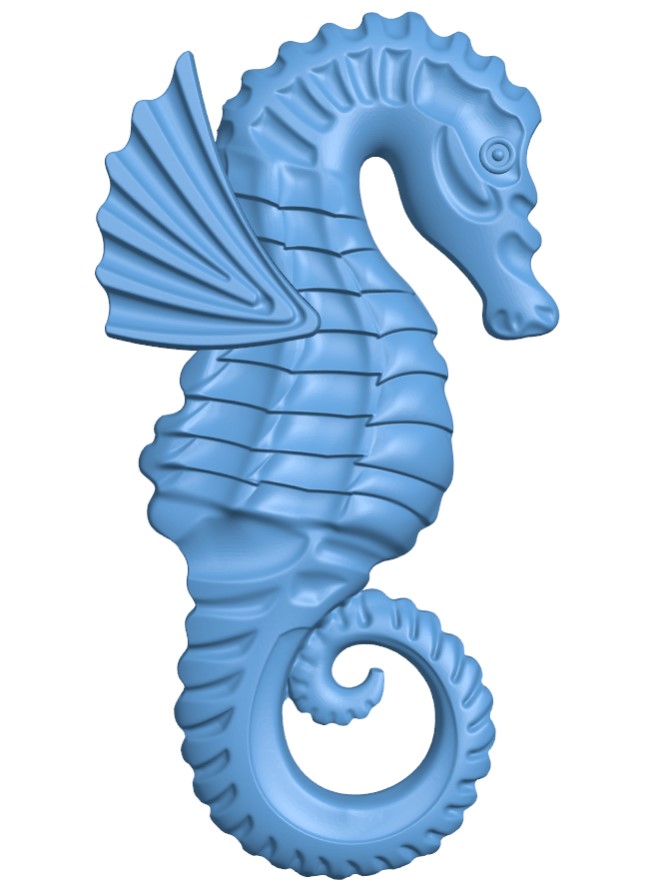 Seahorses (2)