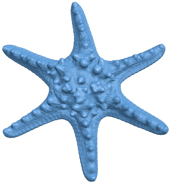 Starfish