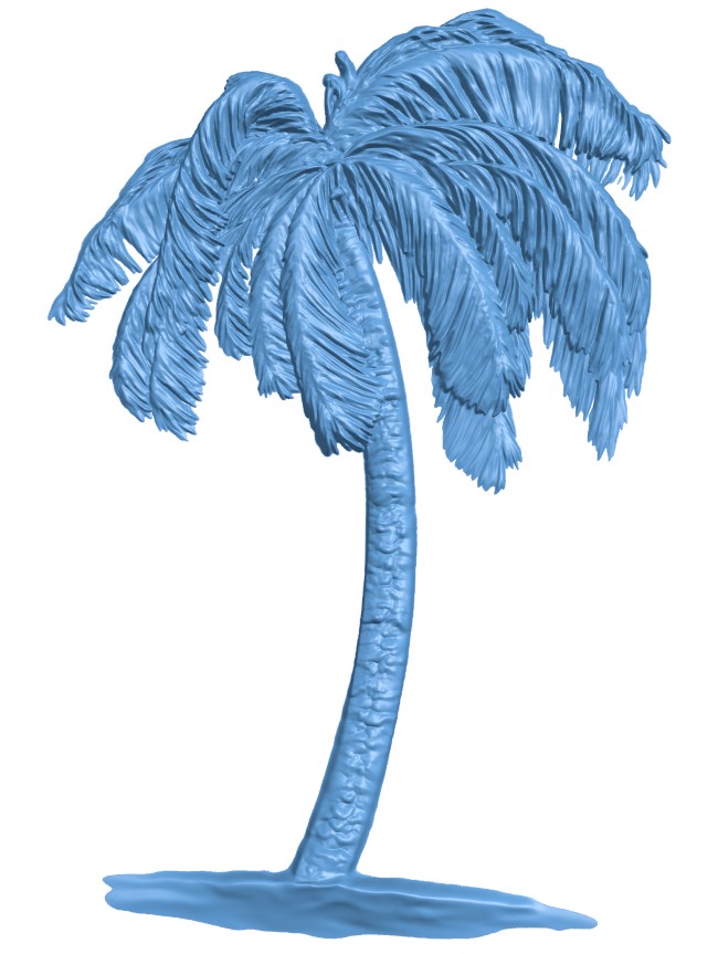 Coconut tree