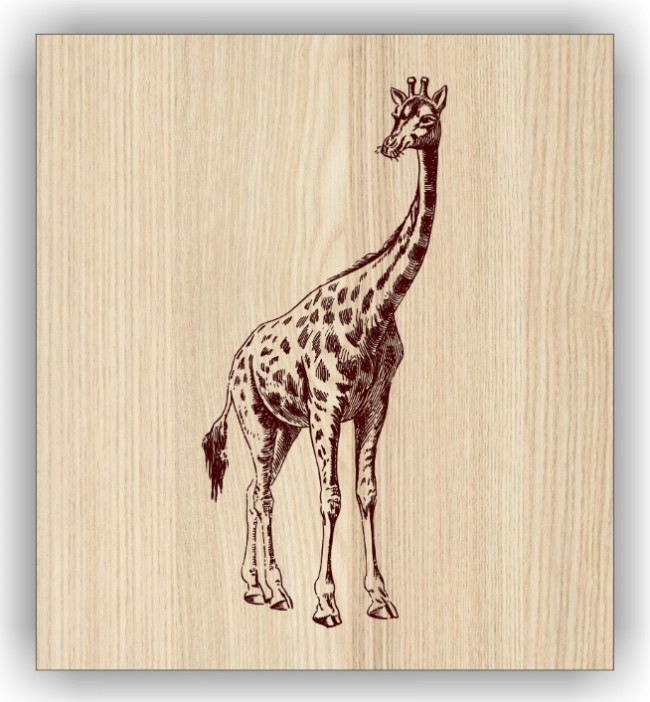 Giraffe