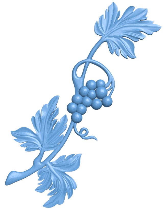 Grape branch