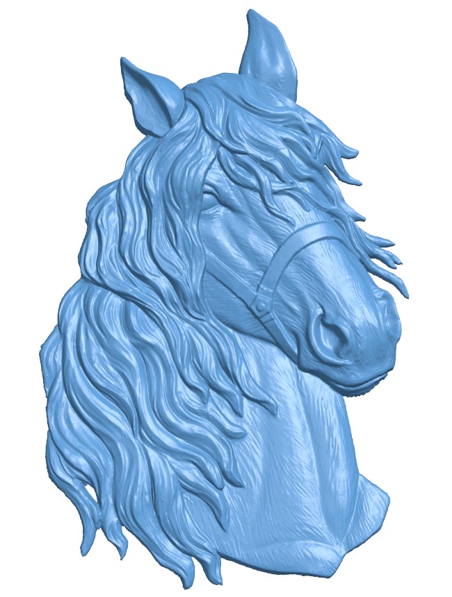 Horse head