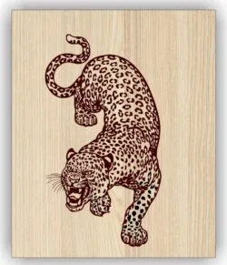 Leopard