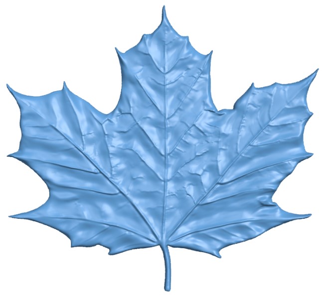 Maple Leaf