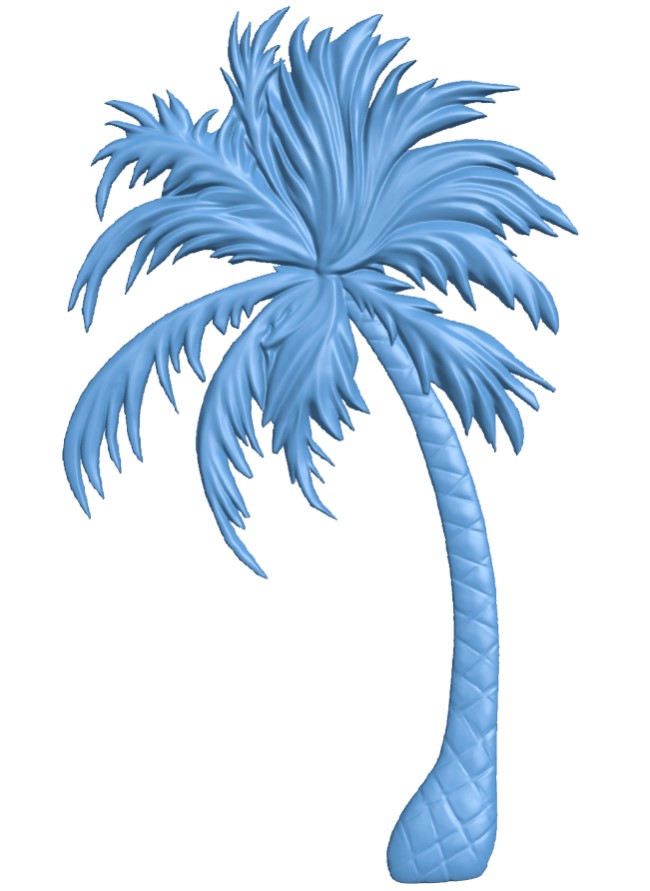 Palm coconut tree