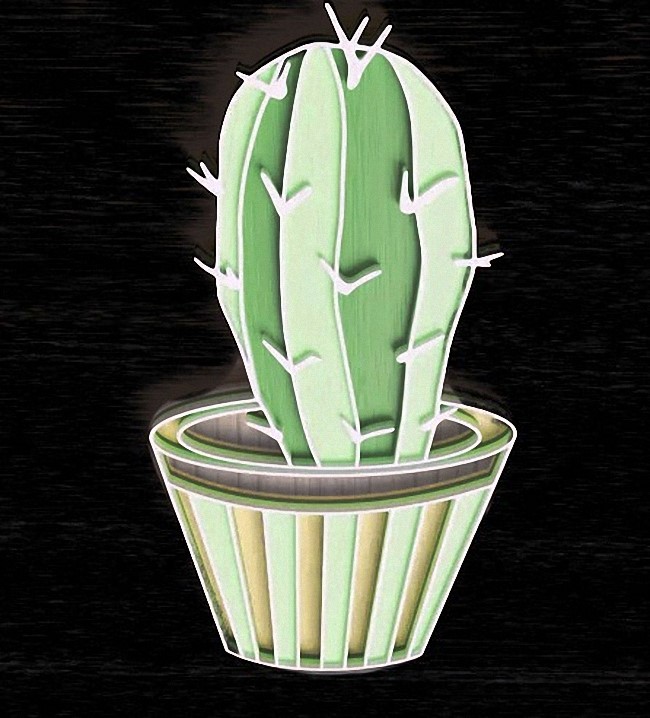 Potted cactus