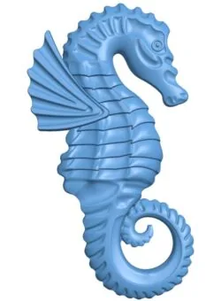 Sea Horse