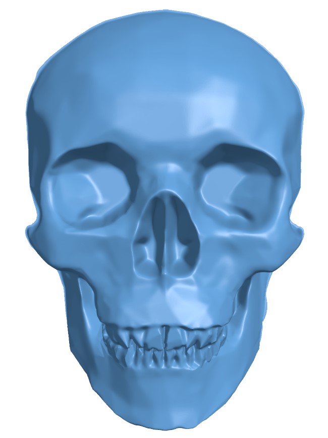 Skull