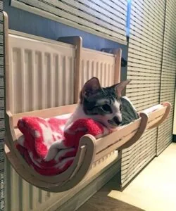 Cat bed