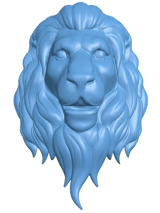 Male lion head