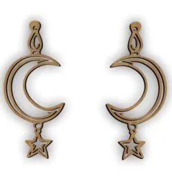 Moon earrings