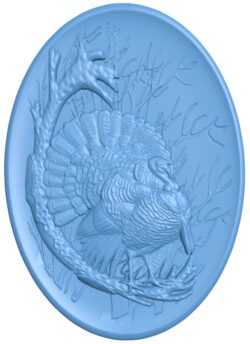 Picture of a turkey in a oval shape