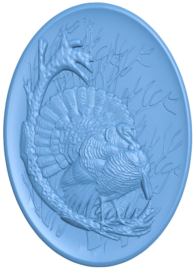 Picture of a turkey in a oval shape