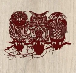 Three owls