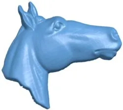 Horse head