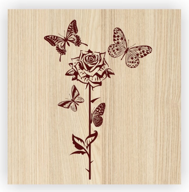 Rose with butterfly