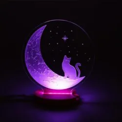 The Cat And The Moon 3D Illusion Night Light