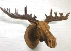 Elk head