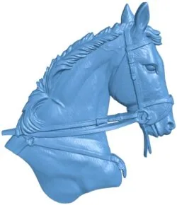 Horse head