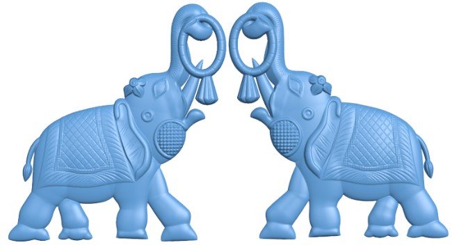 Two elephants