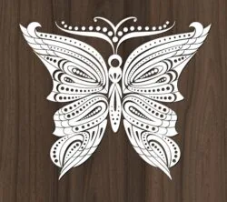 Butterfly for Design